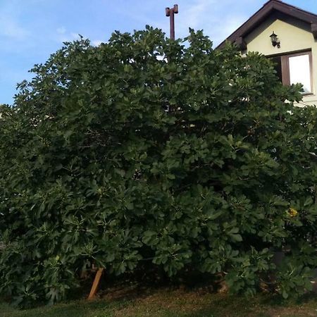 Apartman Dolac Karlobag Exterior photo